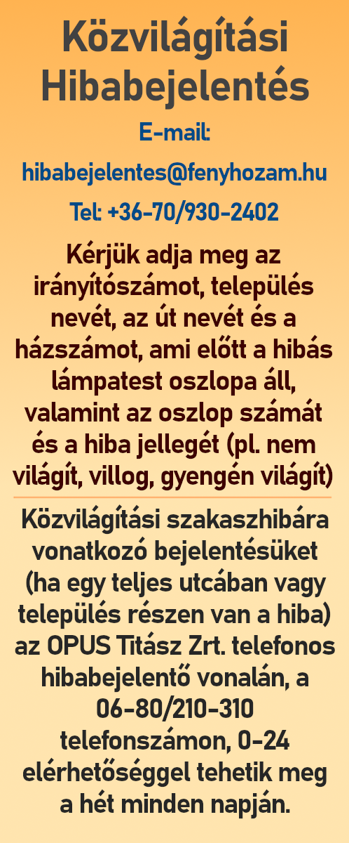 kozvilagitashiba