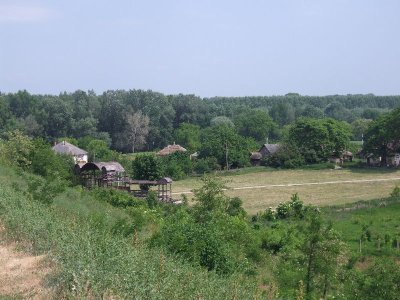 dscf7416
