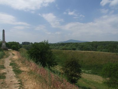 dscf7419