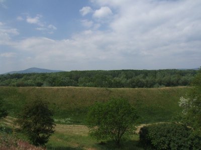 dscf7420