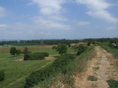 dscf7425