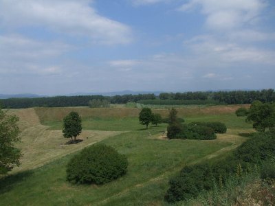 dscf7426
