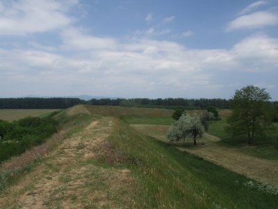dscf7446