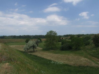 dscf7447