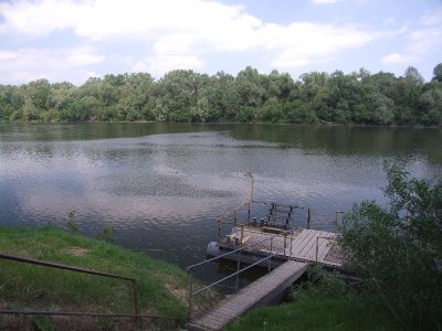 korny03