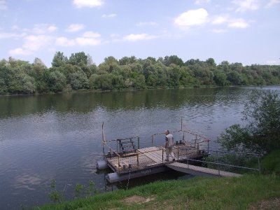 korny04