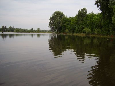 korny09