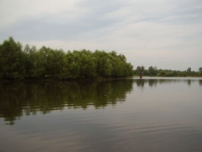 korny10