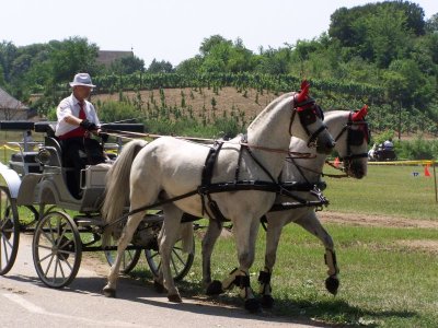 image040